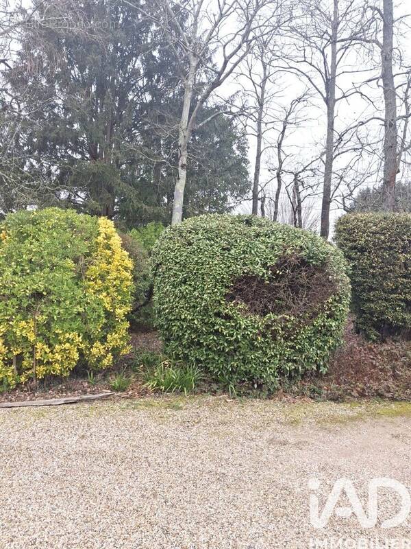 Photo 1 - Maison à MONTAUBAN