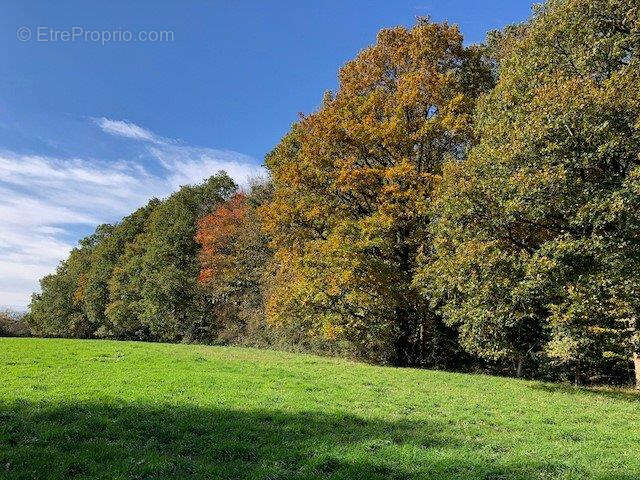 Maison à MONTMIRAIL