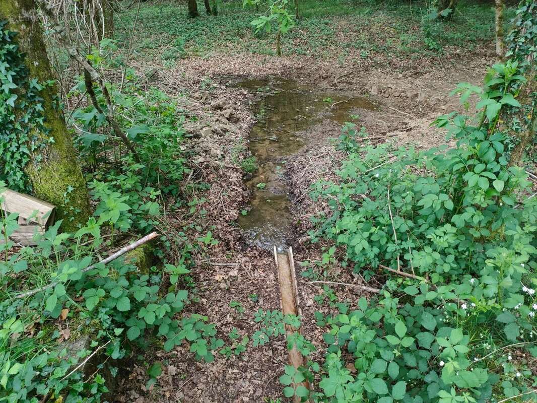 Terrain à ORADOUR-SUR-VAYRES