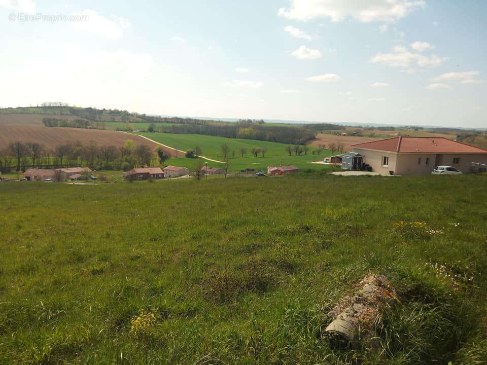 Terrain 1000m² Puycasquier (32120) parcelles - photo 7