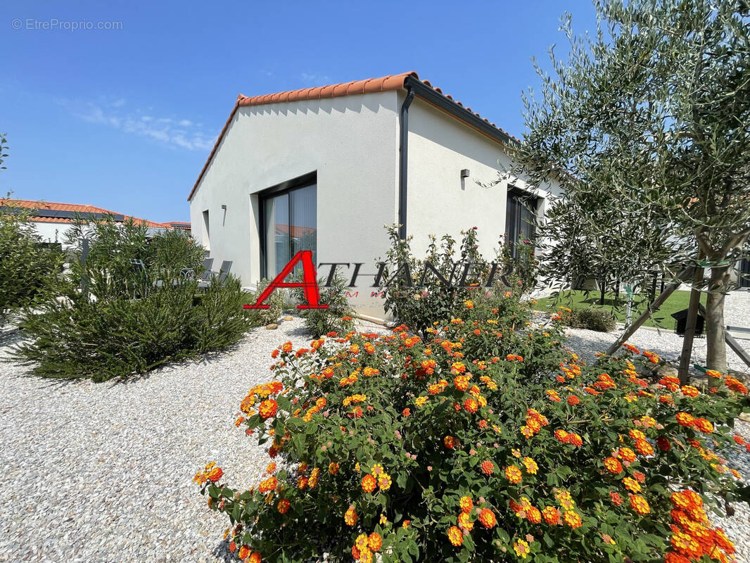 Maison à LAROQUE-DES-ALBERES