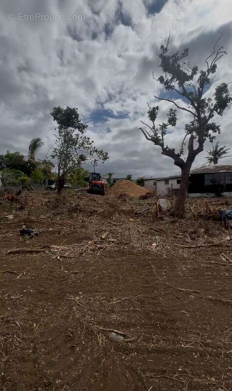 Terrain à SAINTE-MARIE