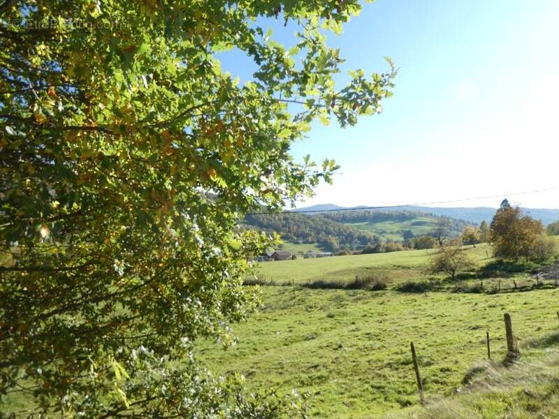 Maison à LE THILLOT