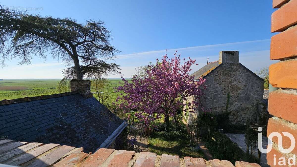 Photo 3 - Maison à LAVAU-SUR-LOIRE
