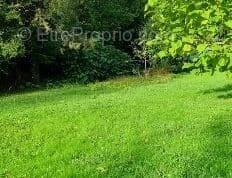 Terrain à SELONCOURT