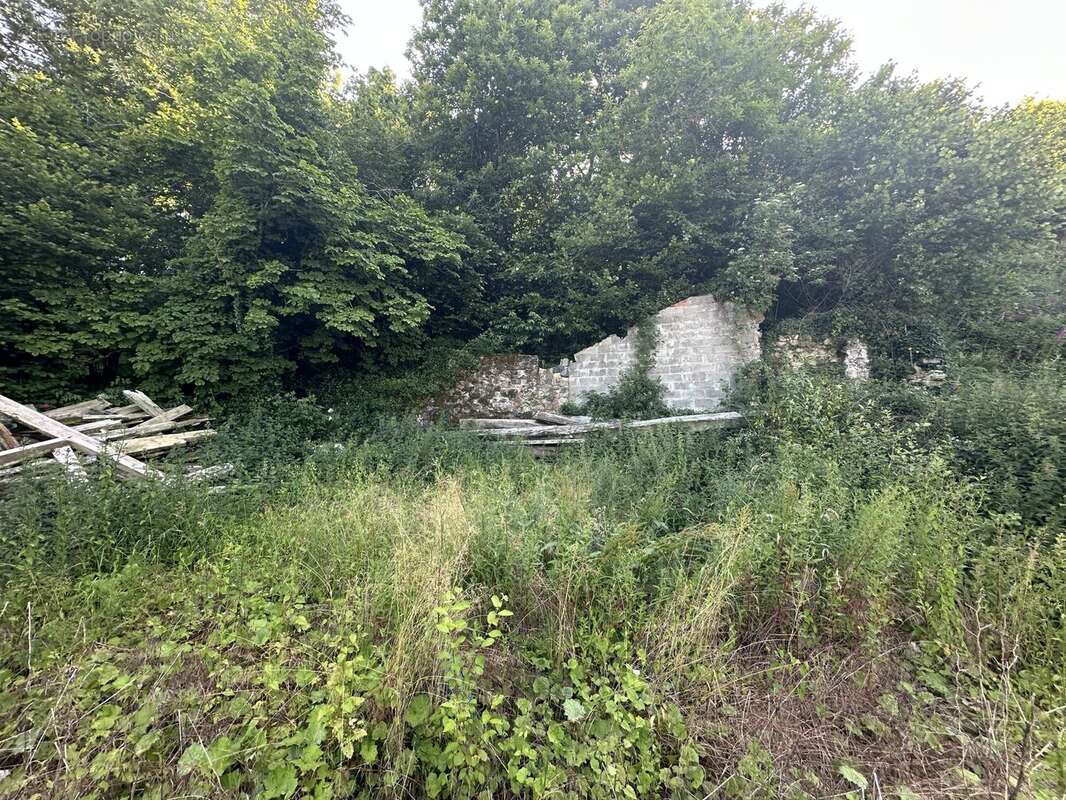 Terrain à SAINT-DIDIER-SUR-BEAUJEU