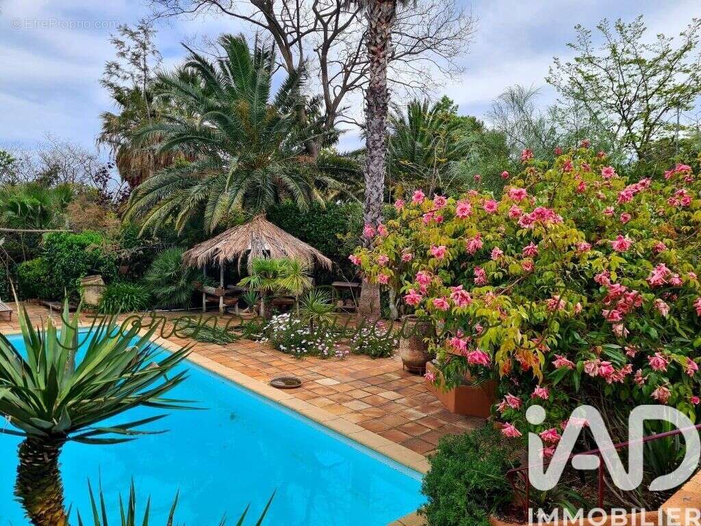 Photo 4 - Maison à LA CADIERE-D'AZUR