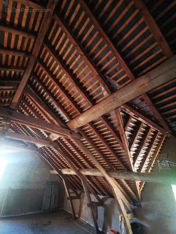 Ferme avec dépendances sur 4492m2 - photo 13