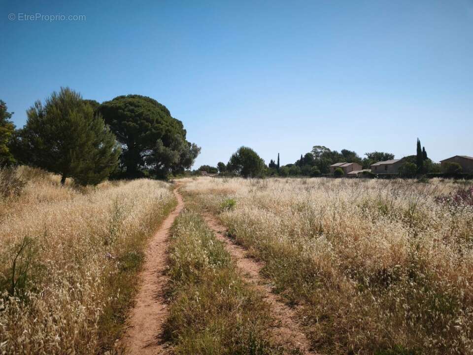Terrain à CUERS
