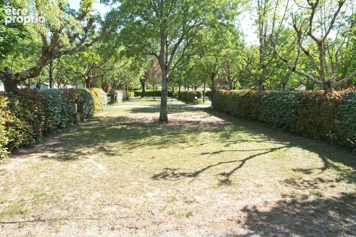 Camping mur et fonds - sud ardeche - photo 5
