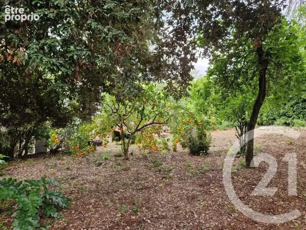 Maison 138 m² à Roquefort-Les-Pins  - photo 11