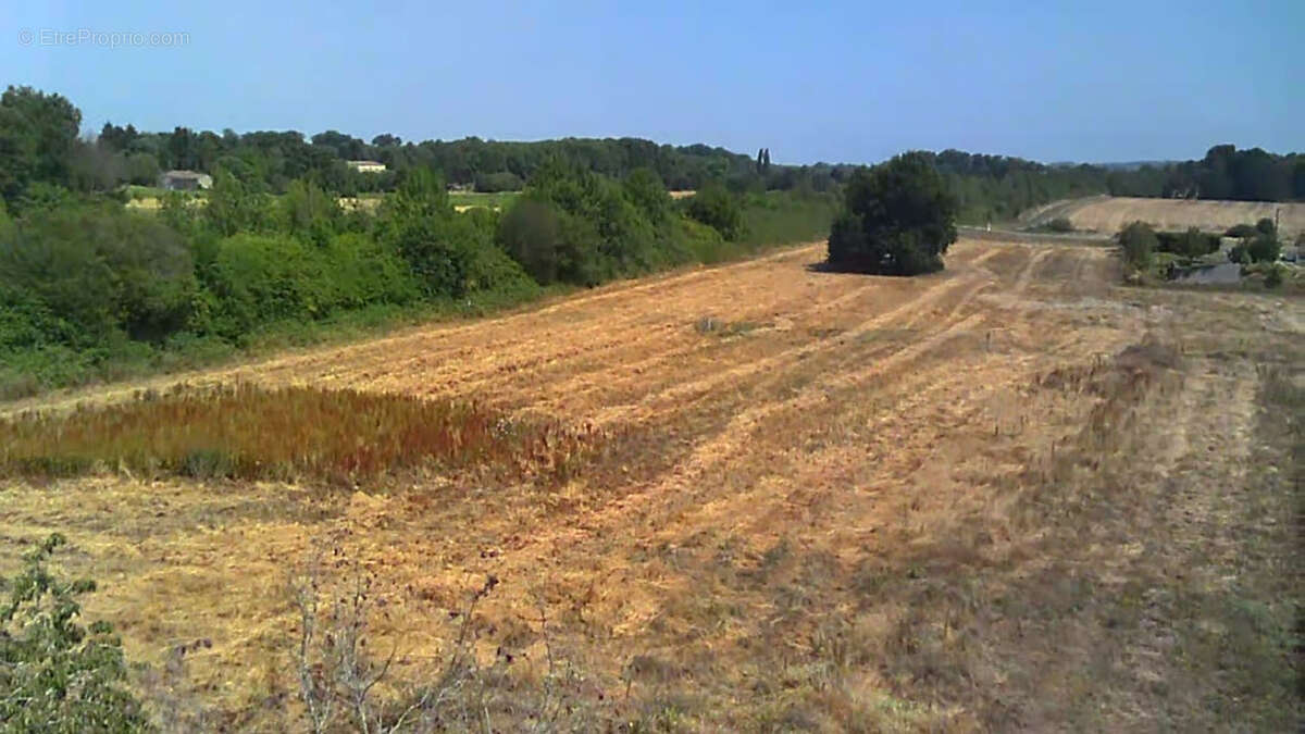 Ancienne ferme avec dépendances sur terrain de 1.2 hectare - photo 10