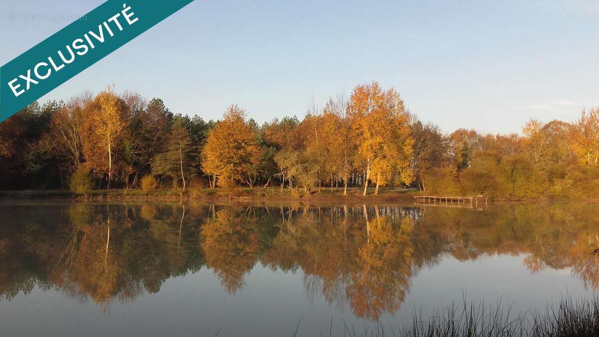 Photo 2 - Terrain à LA PEROUILLE