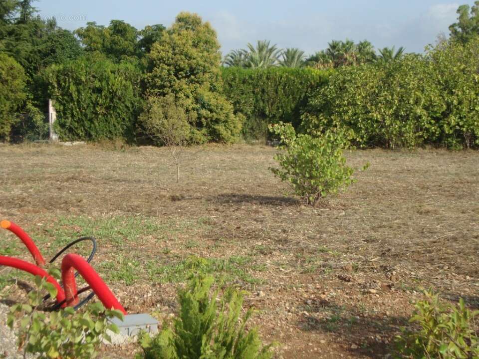 Terrain 140 m² à Cuers  - photo 2