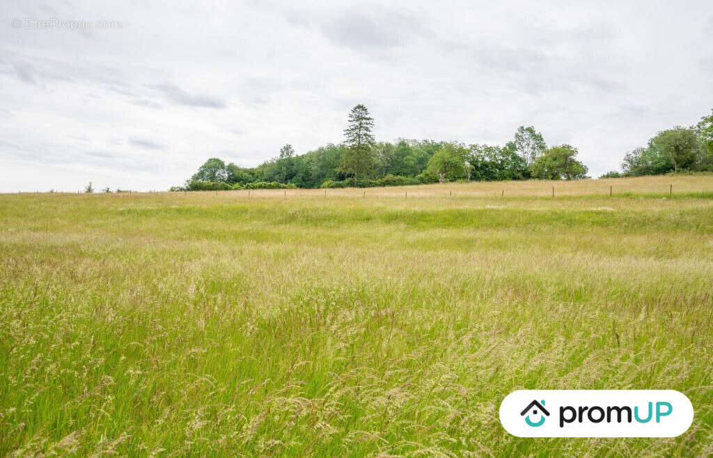 Terrain à PREZ