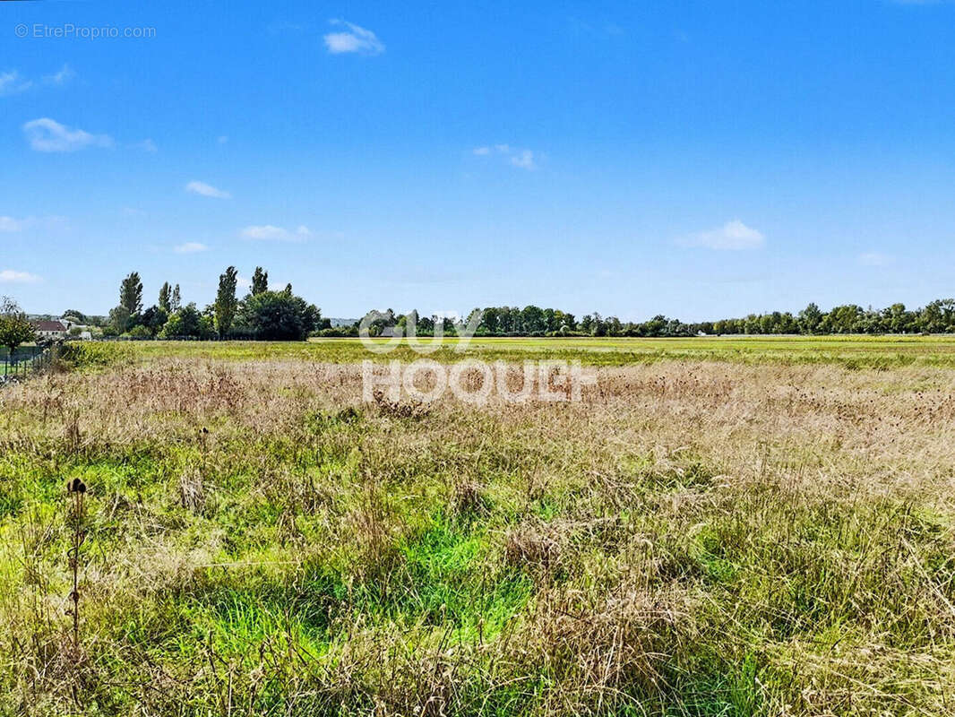 Terrain à MONETEAU