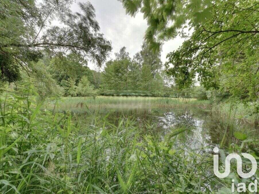 Photo 3 - Maison à FERE-EN-TARDENOIS