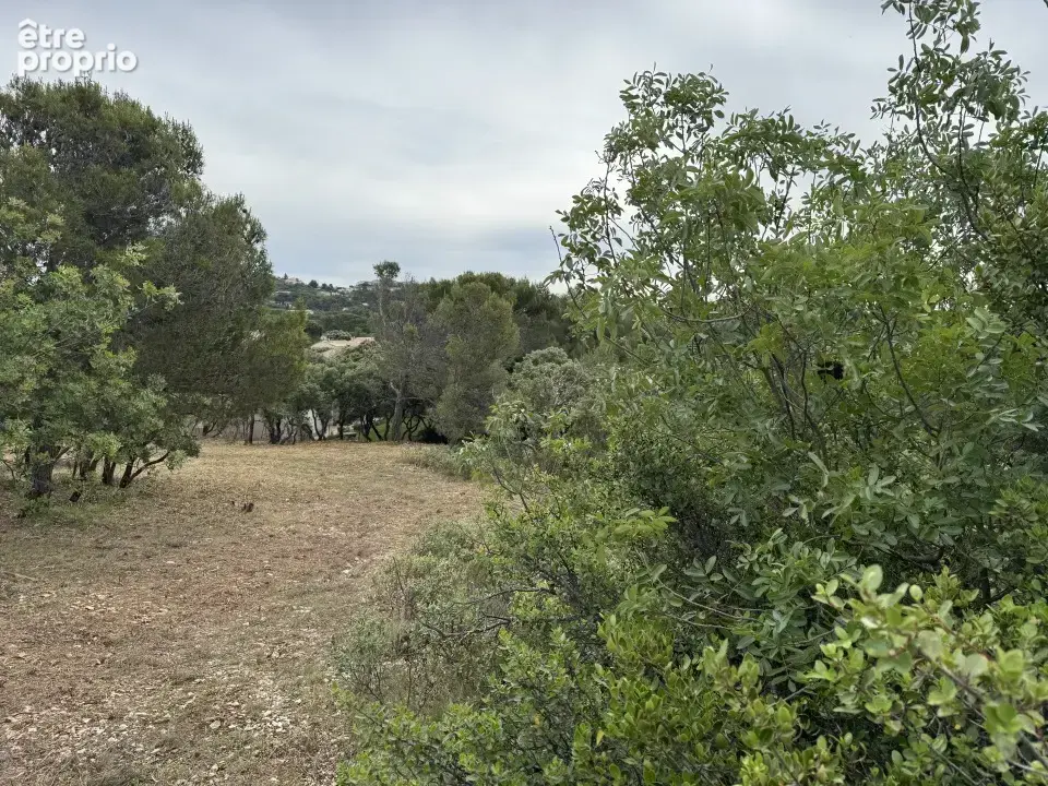 Terrain 384 m² à Villeneuve-Les-Avignon  - photo 2