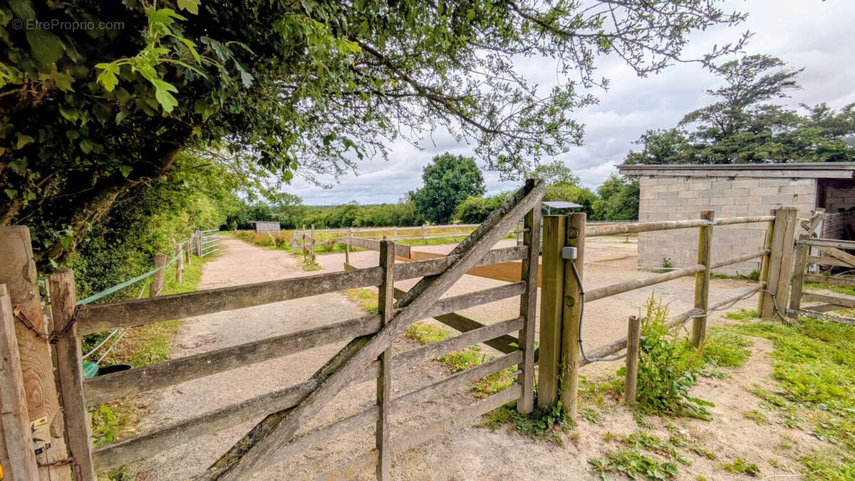 MAISON et gîtes su - GITES - Installations EQUESTRES - photo 15