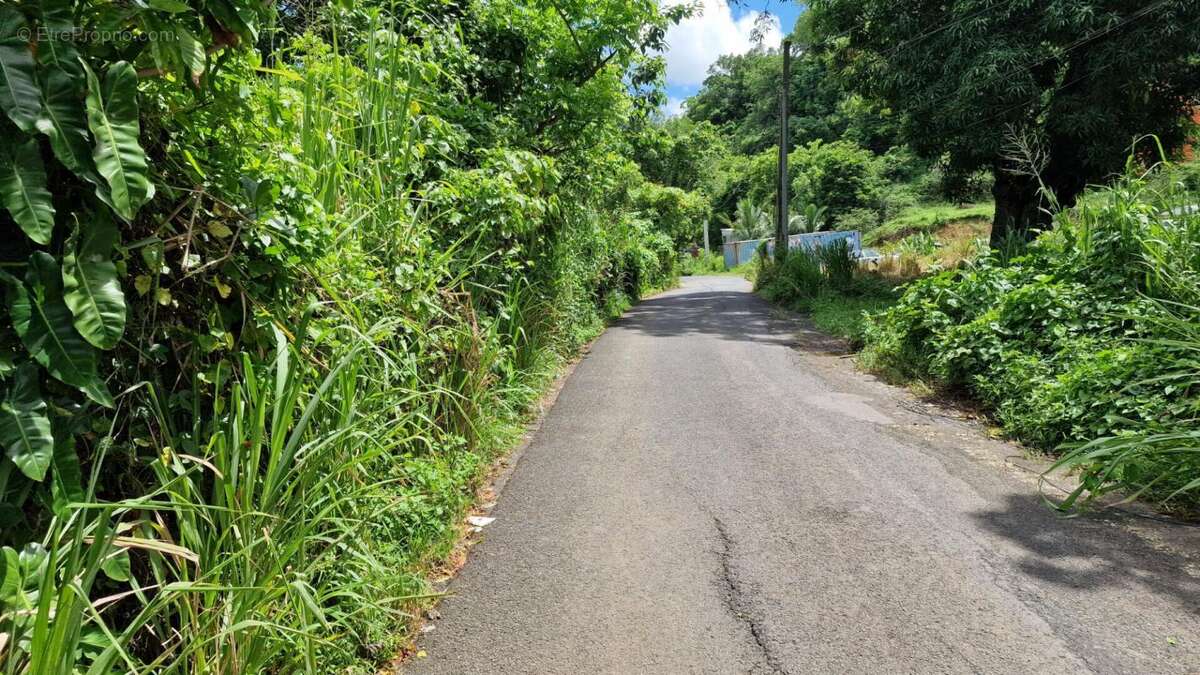 Terrain à LES ABYMES