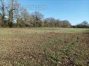 Terrain à SAUJON