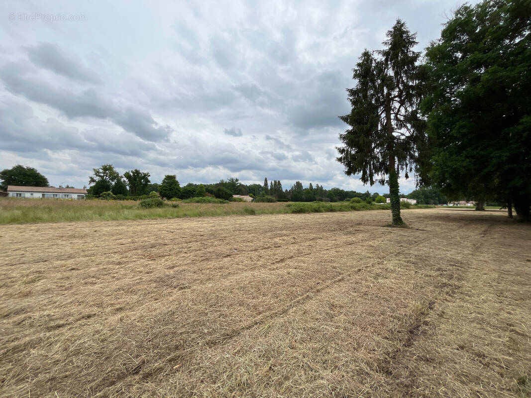 Terrain à MENESPLET