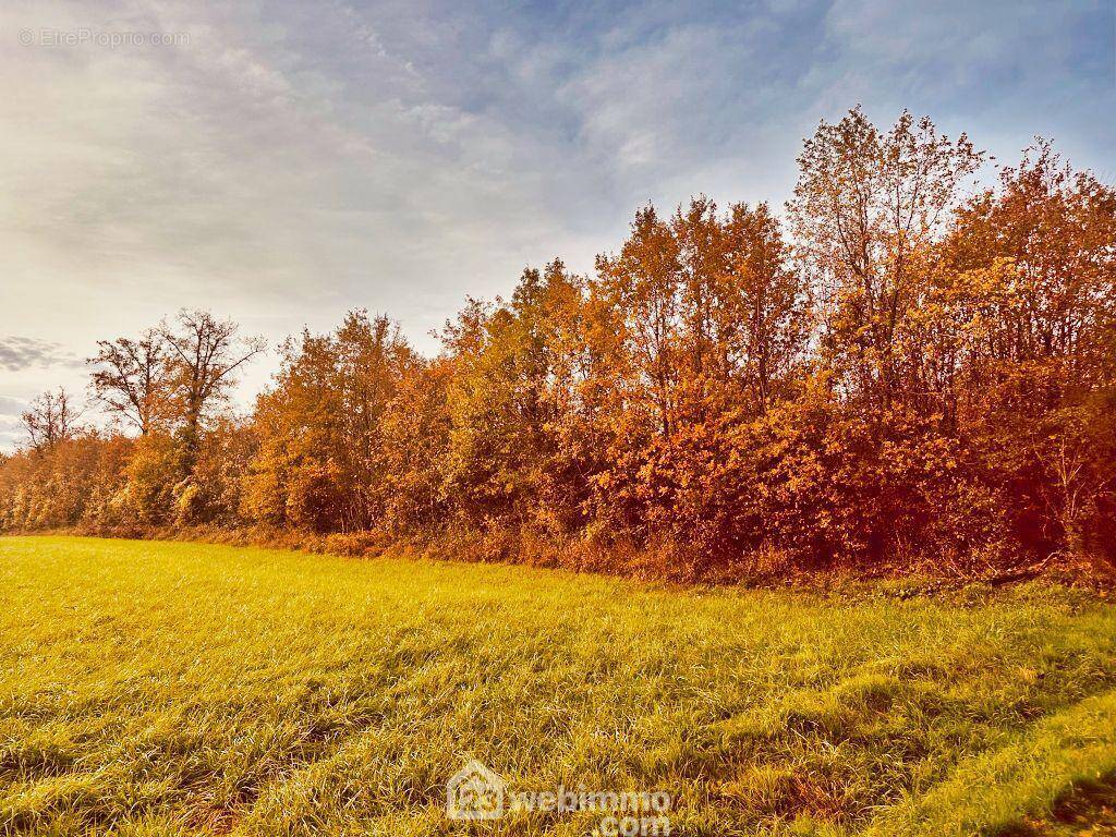 A 5 min de Lusignan, 10 min de Vivonne, - Terrain à CELLE-LEVESCAULT