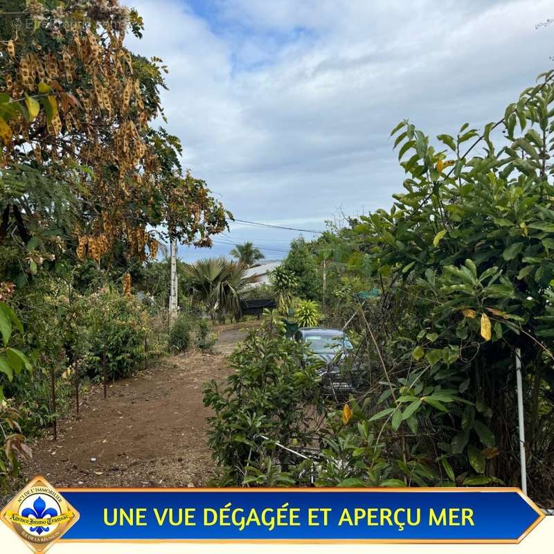 Terrain à SAINT-PAUL