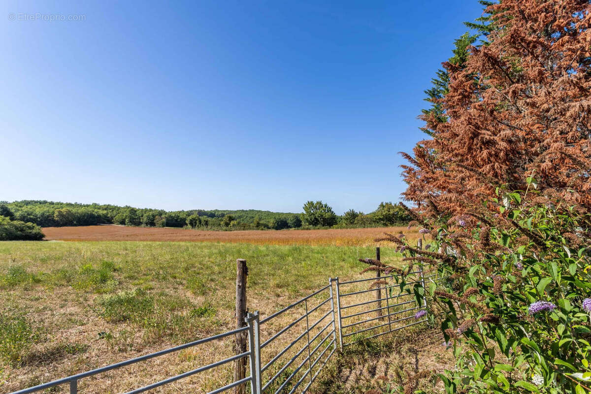 Smallholding in a beautiful location - photo 5