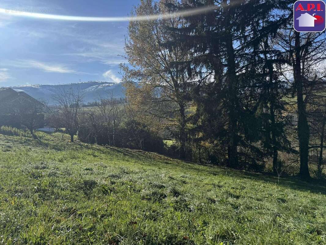 Terrain à FOIX