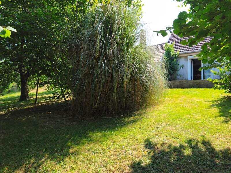Maison à vendre 5 pièces EVANS (39) - photo 4