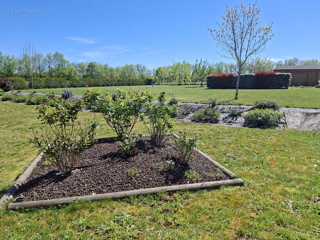 Maison à FOULAYRONNES