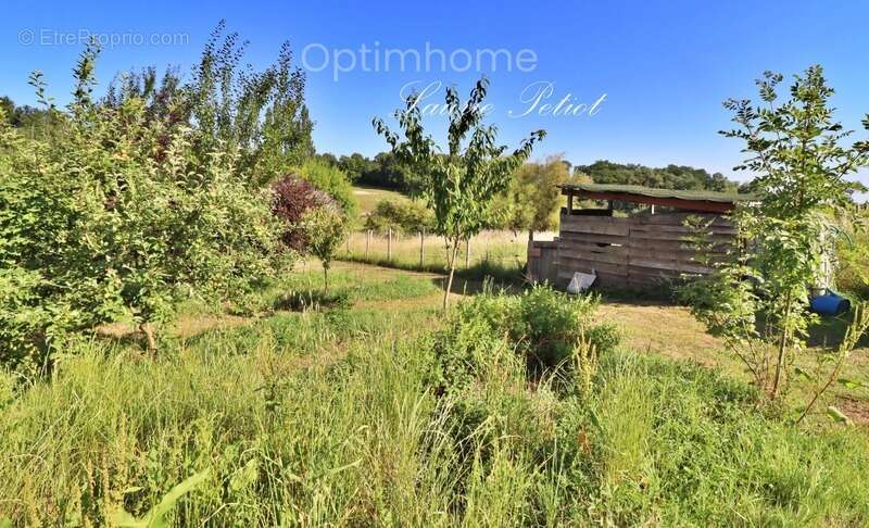 Maison à SAINT-THOMAS-DE-CONAC