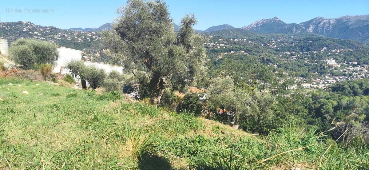 Terrain à CONTES