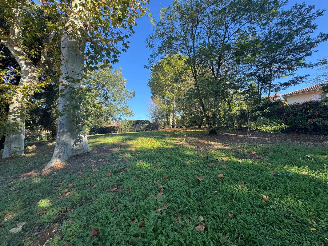 Appartement à RAMONVILLE-SAINT-AGNE