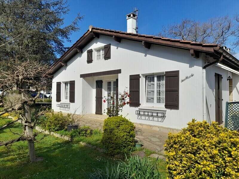 Maison à SARE