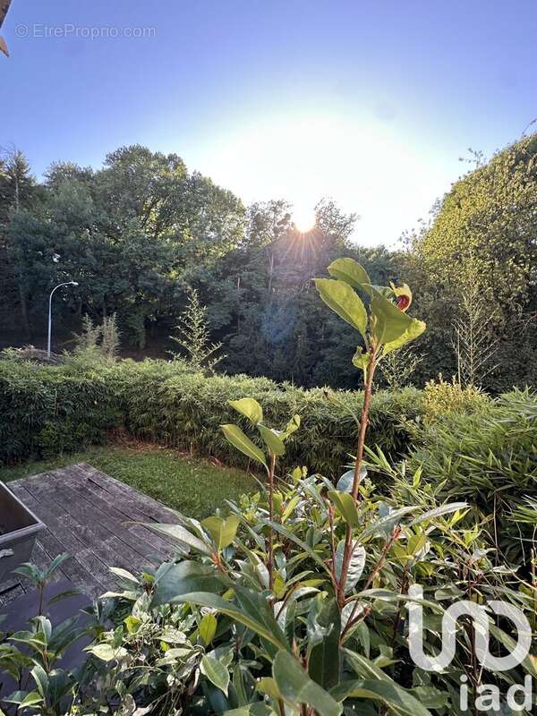 Photo 8 - Appartement à PALAISEAU