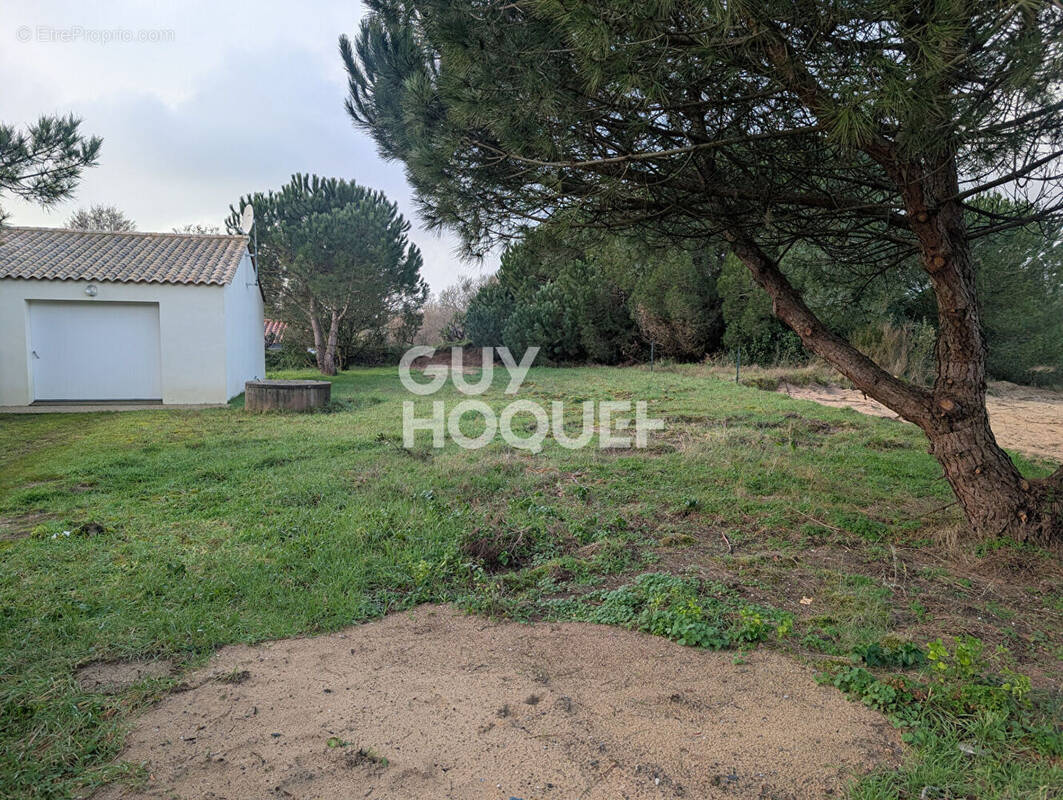 Terrain à SAINT-HILAIRE-DE-RIEZ