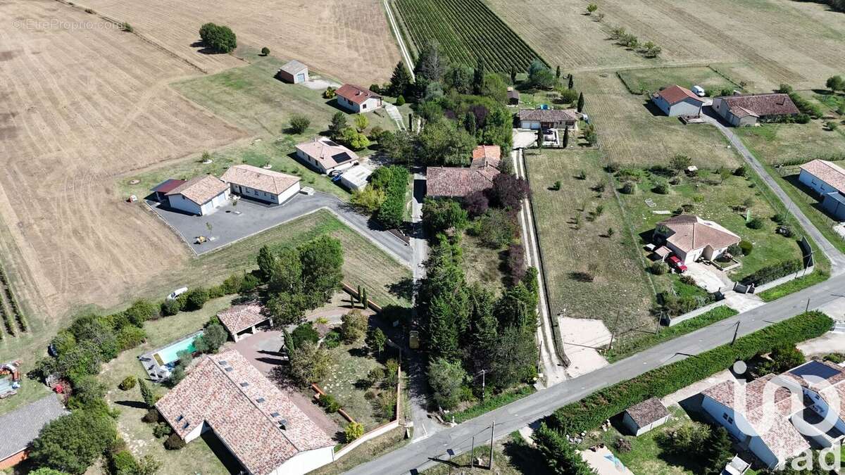 Photo 5 - Terrain à CAMPSAS