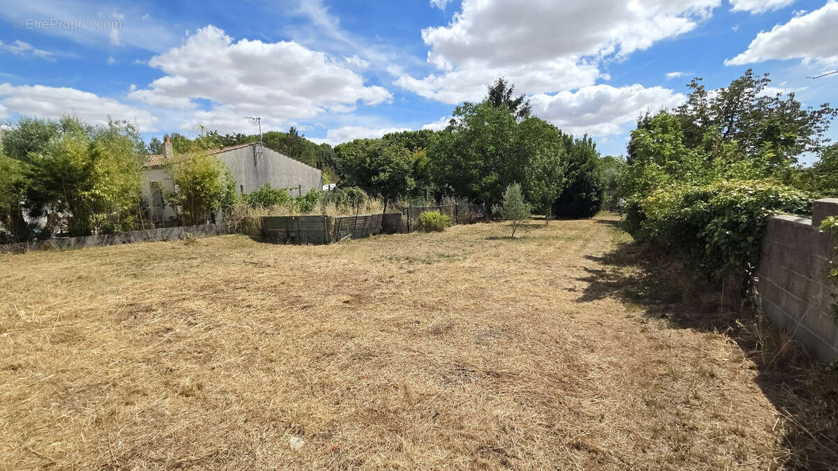 Terrain constructible à Surgères - photo 3