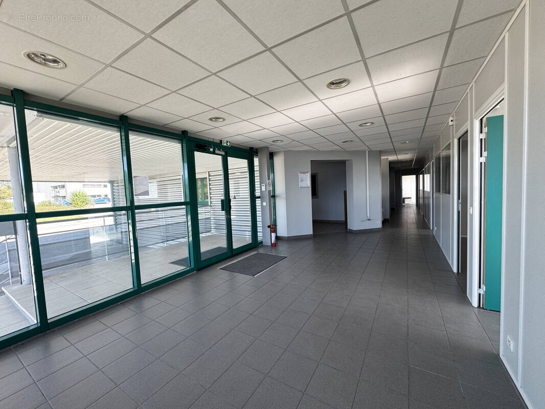 Commerce à FILLINGES