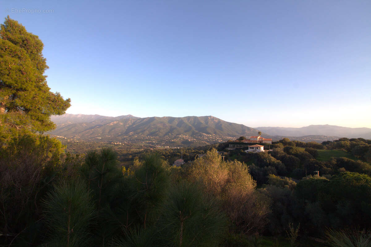 Terrain à AJACCIO