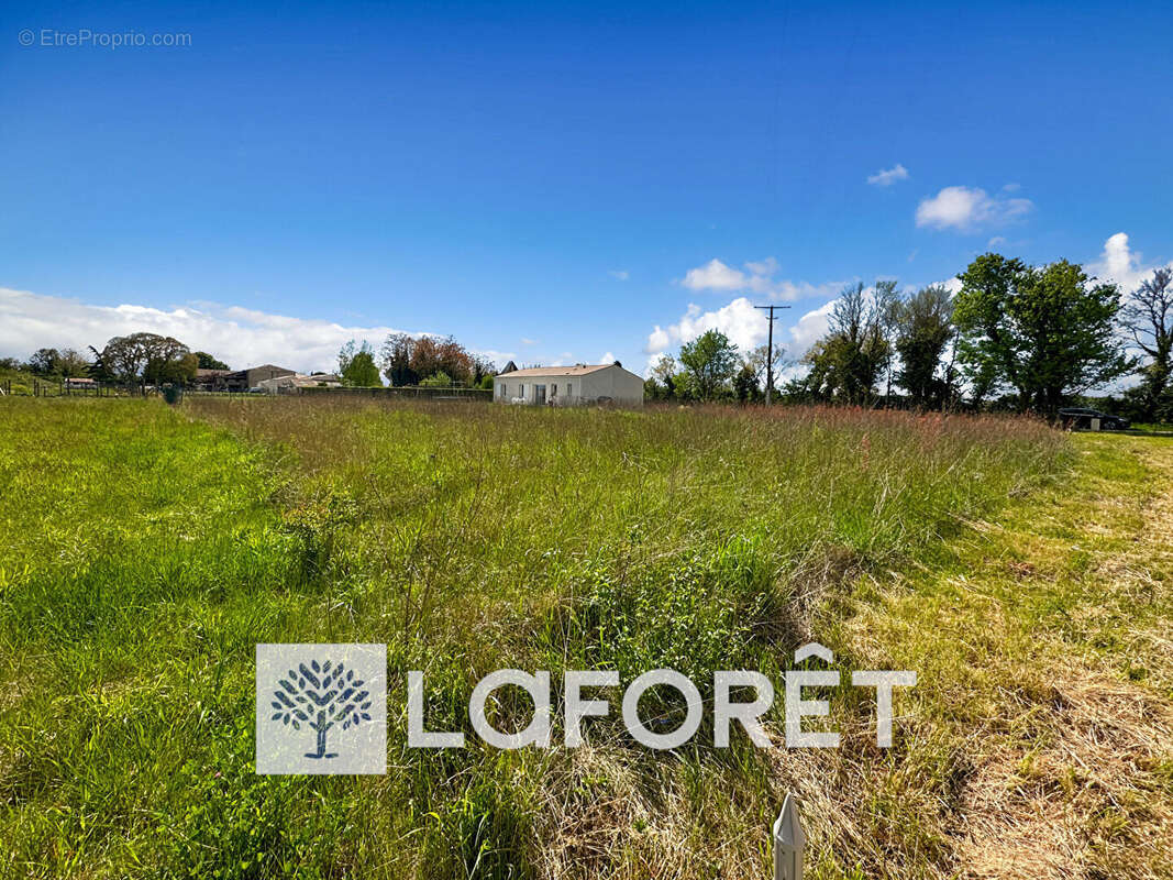Terrain à SAINT-QUANTIN-DE-RANCANNE