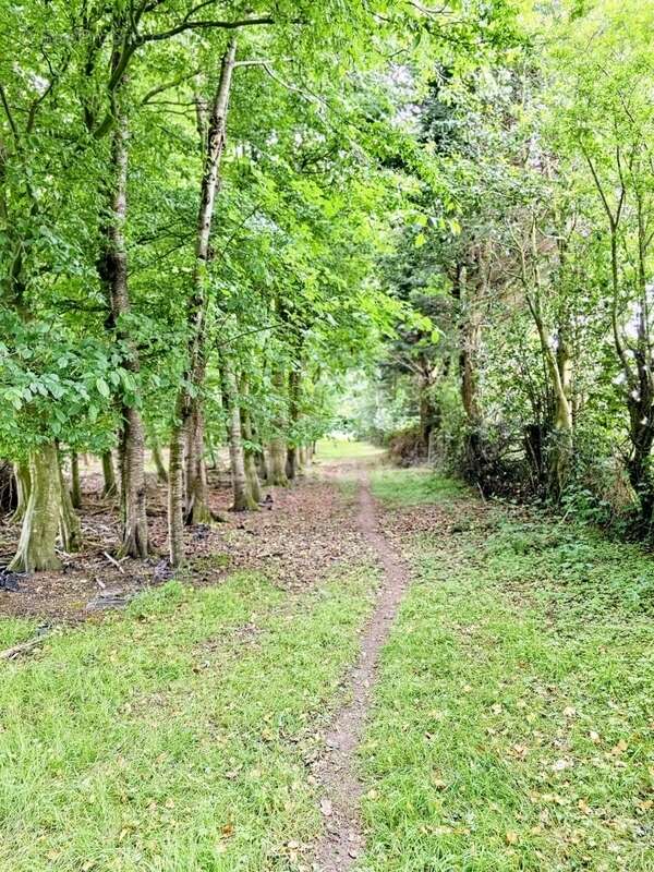 Maison à LE MESNIL-REAUME