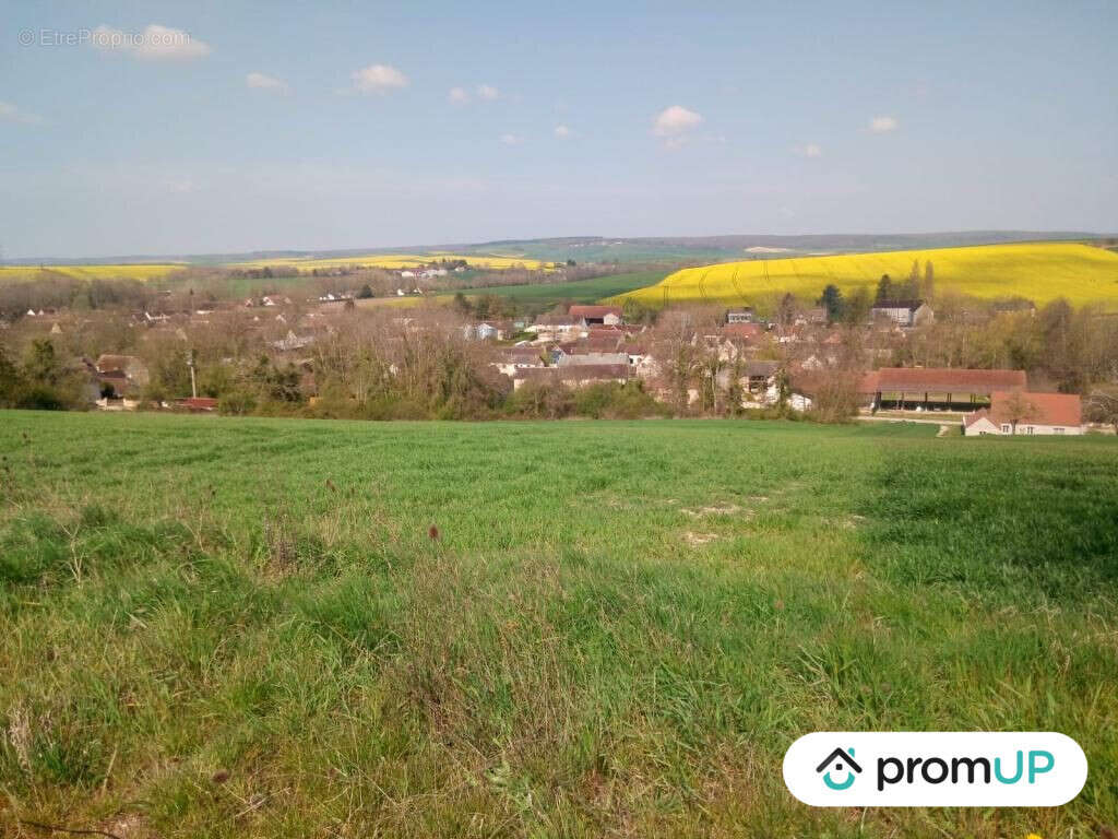 Terrain à VENIZY
