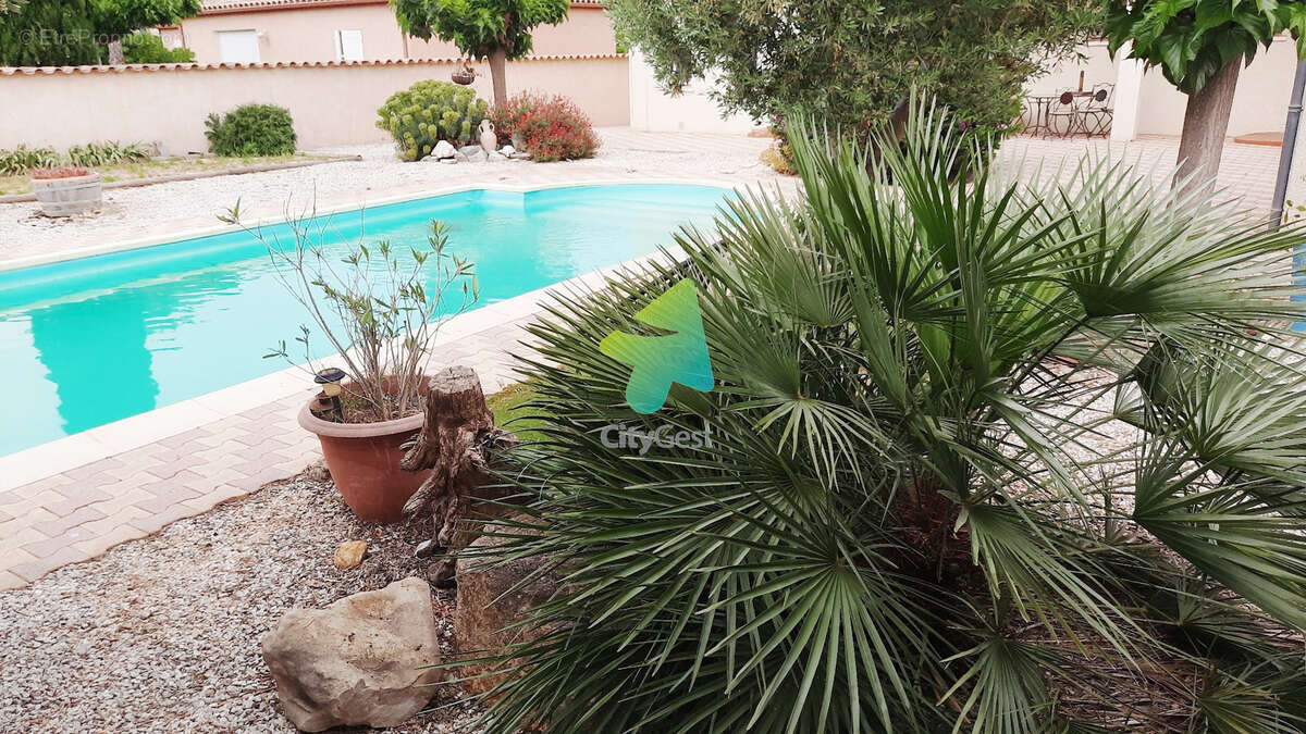Maison à MOUSSAN