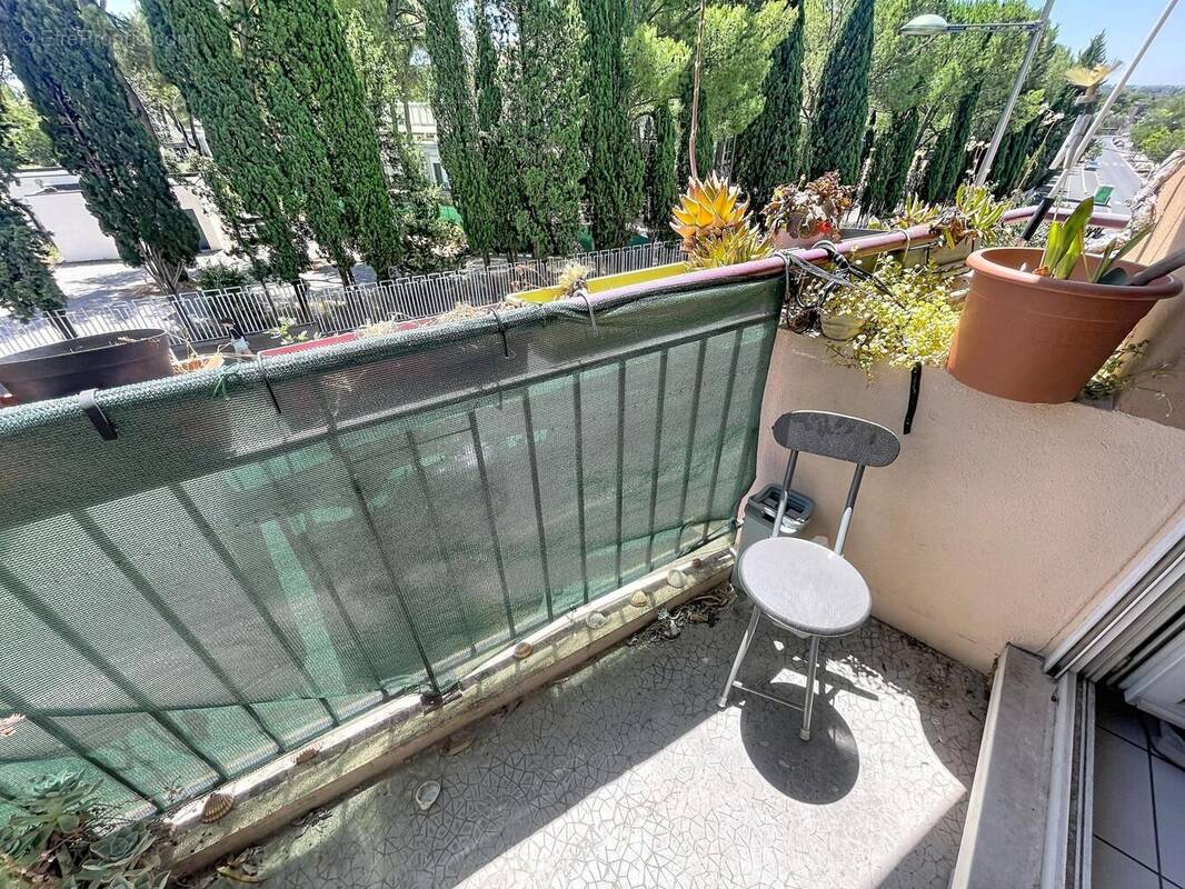 Photo 1 - Appartement à MONTPELLIER