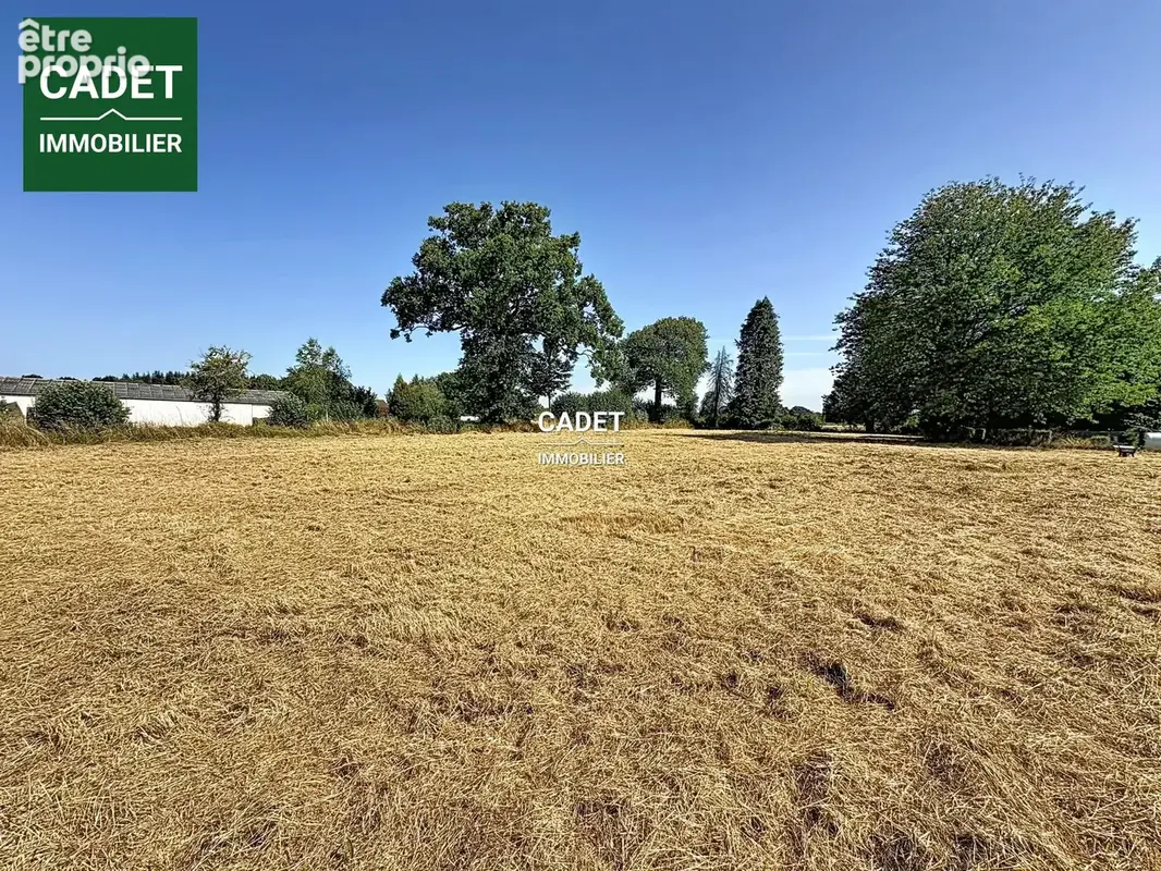 Terrain 2 400 m² à vendre à Hocquigny (50320) - photo 3