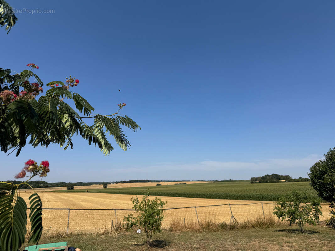 Maison de plain pied avec terrain clos - THIRE - photo 13