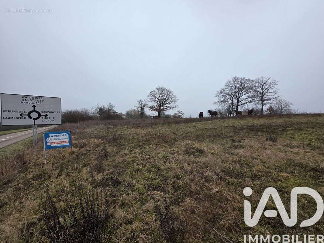 Photo 4 - Terrain à SAINT-FRANCOIS-LACROIX